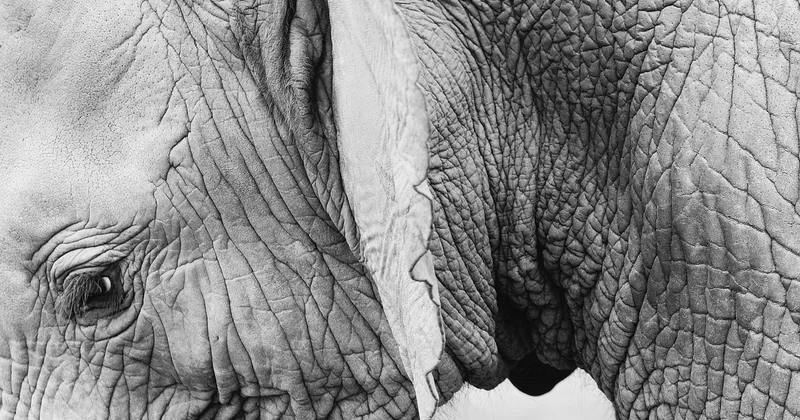 L'oreille de bébé en avion : le seul point sur lequel vous n'avez pas le droit à l'erreur