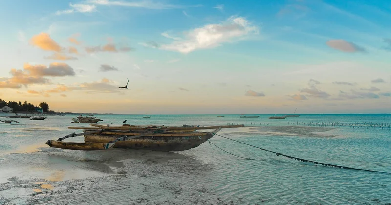 Safari + Zanzibar : combien faut-il ajouter au budget ?