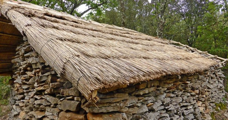 Meilleurs hébergements écologiques pour un voyage nature inoubliable